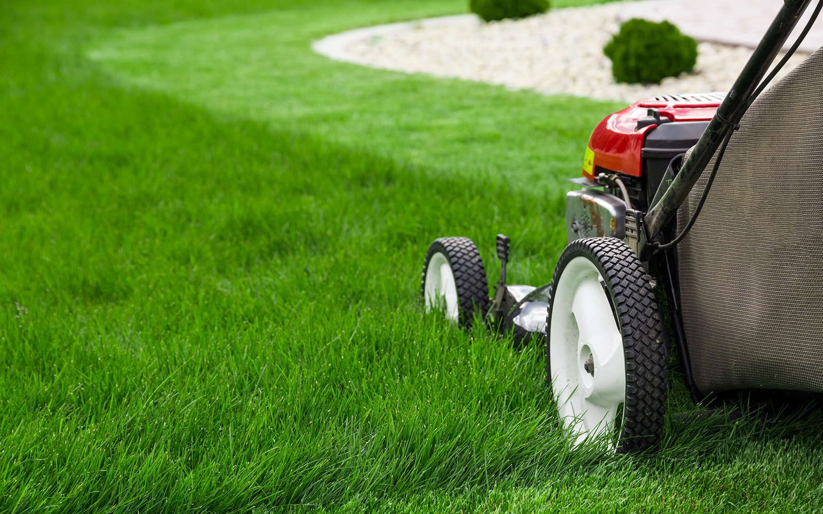 9 GREAT PRO TIPS FOR LAWN MOWING PERFECTION - Rivas Landscaping