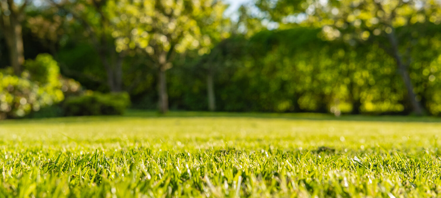 10 Great Reasons Your Lawn Care Services Should Be Done By A Pro